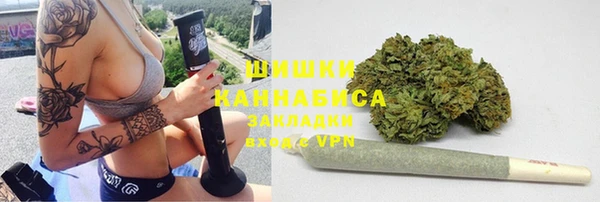 прущие грибы Абинск