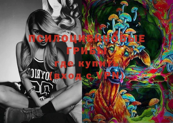 прущие грибы Абинск