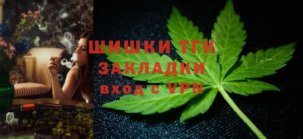 прущие грибы Абинск