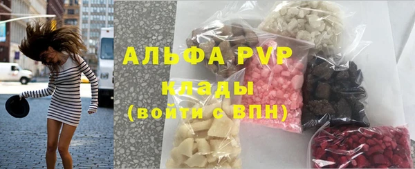 прущие грибы Абинск