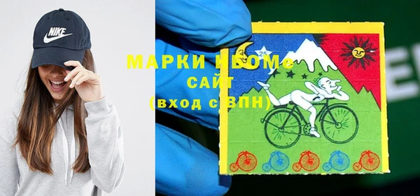 прущие грибы Абинск