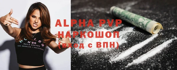 прущие грибы Абинск