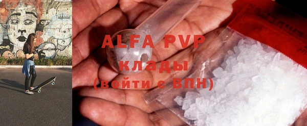прущие грибы Абинск