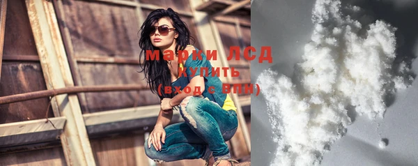 прущие грибы Абинск