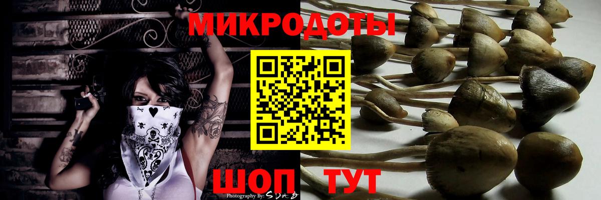 Галлюциногенные грибы Psilocybine cubensis  Вход с VPN  Галлюциногенные грибы ЛСД  Торжок 